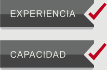 Experiencia y Capacidad